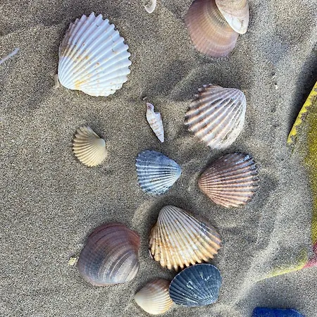 Mobil-home Le Manosely Confort 6 Pers Climatisé-plages à Proximité *