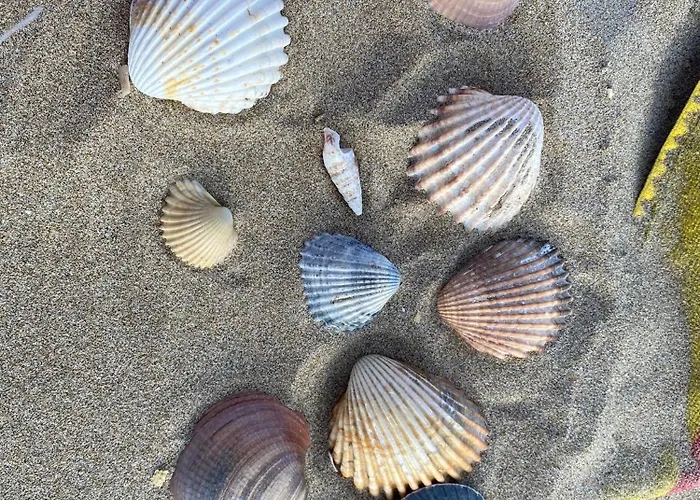 Mobil-home Le Manosely Confort 6 Pers Climatise-plages A Proximite *